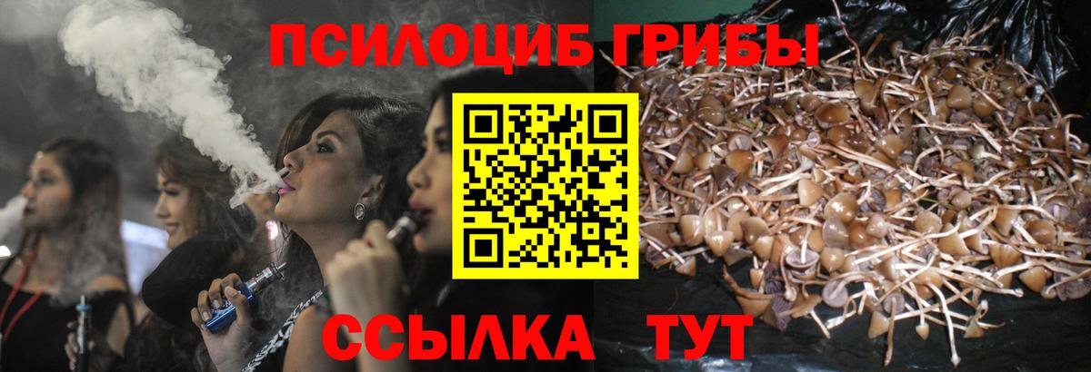 Галлюциногенные грибы MAGIC MUSHROOMS  Псилоцибиновые грибы Psilocybe  даркнет сайт  Шахты  Вход с VPN 