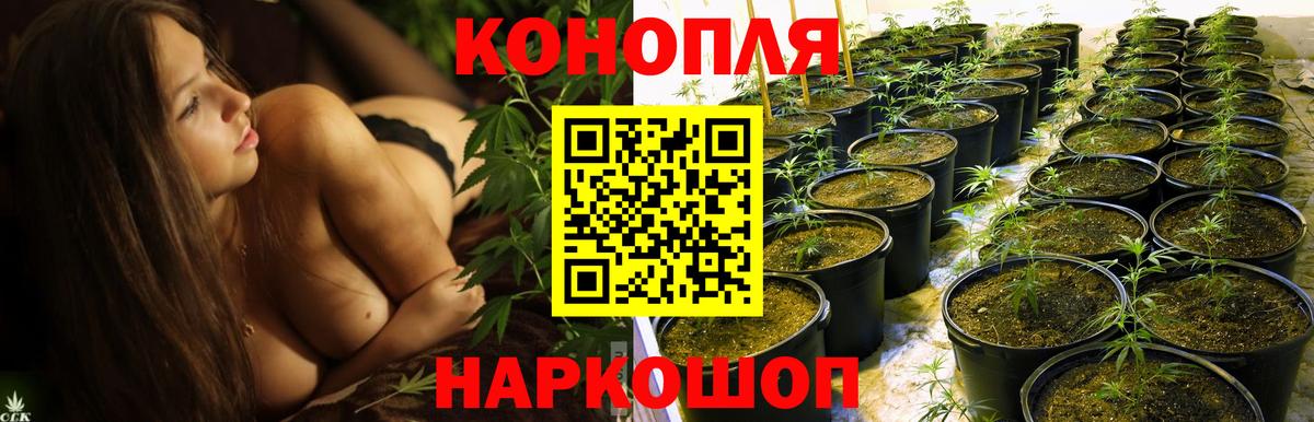 Шахты  Каннабис Ganja  МАРИХУАНА Bruce Banner  Марихуана семена  Вход с VPN  Конопля семена 
